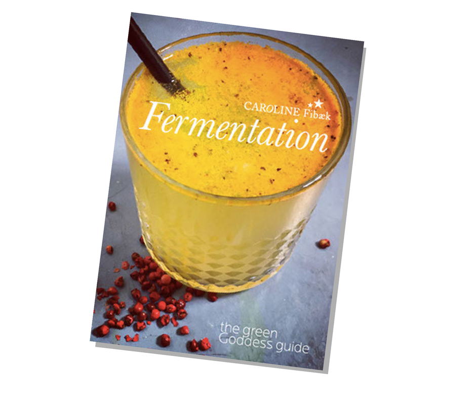 Fermentation e-book by Caroline Fibaek